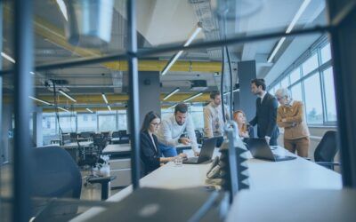 ¿A qué tipo de organizaciones vende License Partners?